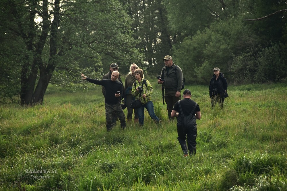 Natura nasze bogactwo – warsztaty, które zapamiętamy na długo!