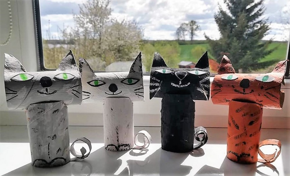 Dzikie koty, wyścigi samochodowe, fryzjer oraz zabawa w łowienie rybek