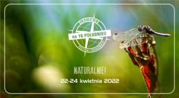 Złocieniec na 16 Południku