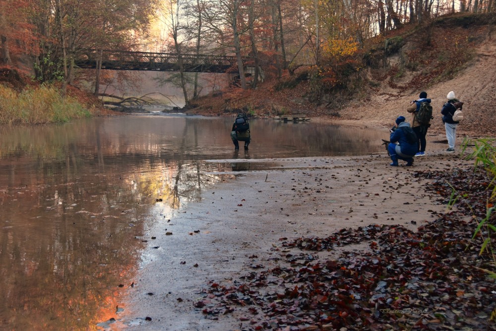 Fotografia w plenerze